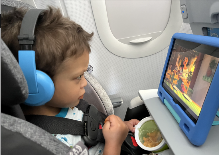 Flying: Survival Guide