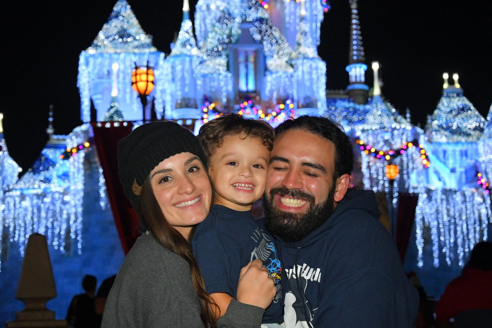 The Ultimate Guide to Disneyland